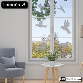 Vinilo translúcido: pájaros