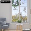 Vinilo translúcido: pájaros