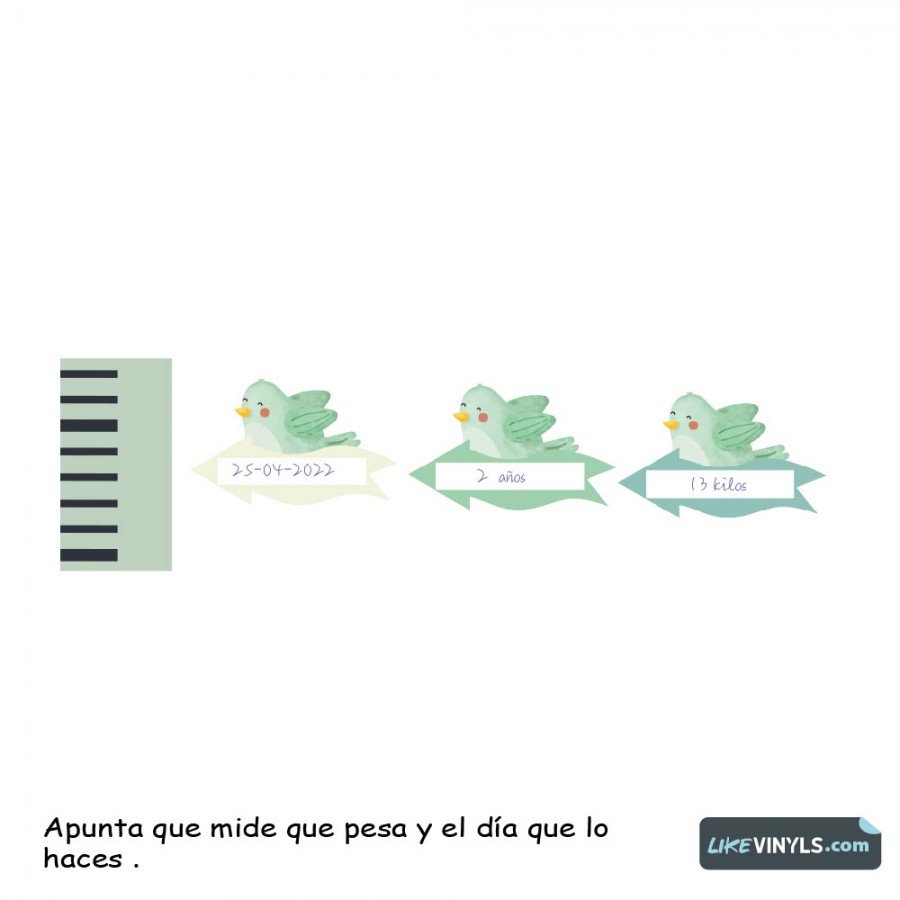 Medidor vinilo adhesivo  avión y pajarito. Personalzable, Etiquetas + QR con realidad aumentada. ¡De regalo!